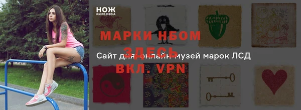 тгк Алзамай