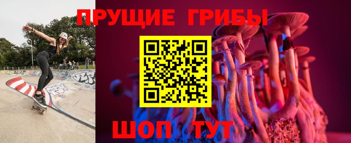 Краснотурьинск  Галлюциногенные грибы Psilocybine cubensis  Вход с VPN 
